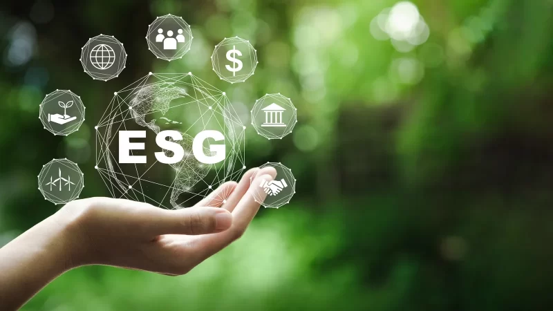 agencia-de-marketring-em-sp-agencia-de-marketing-em-braganca-esg